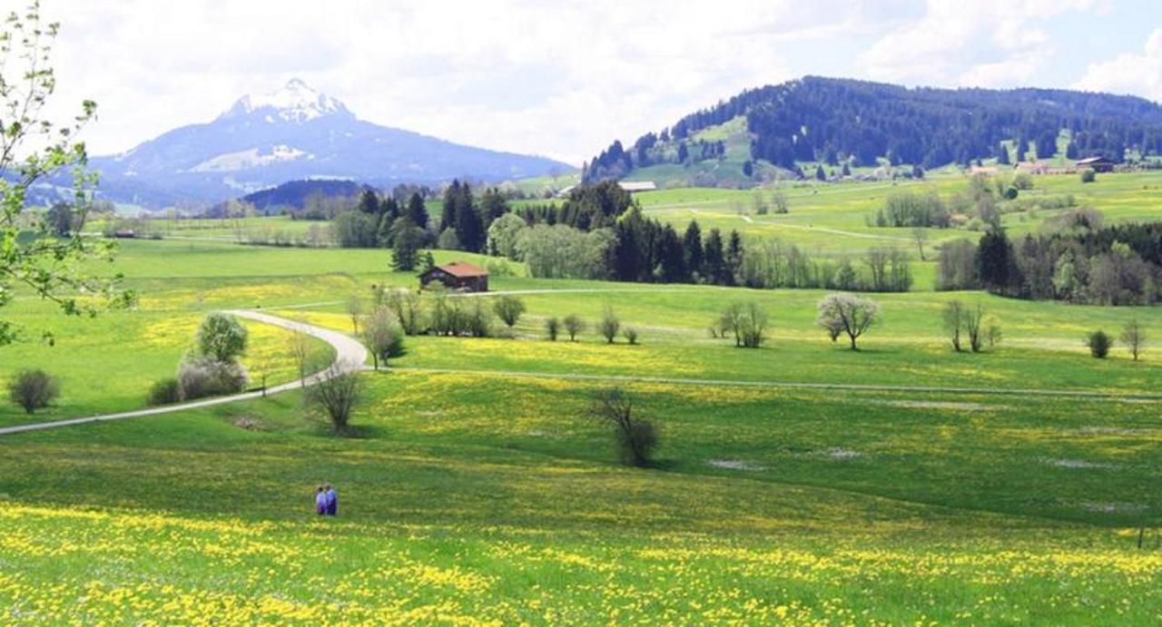 Haus Bergblick Daire Oy-Mittelberg Dış mekan fotoğraf