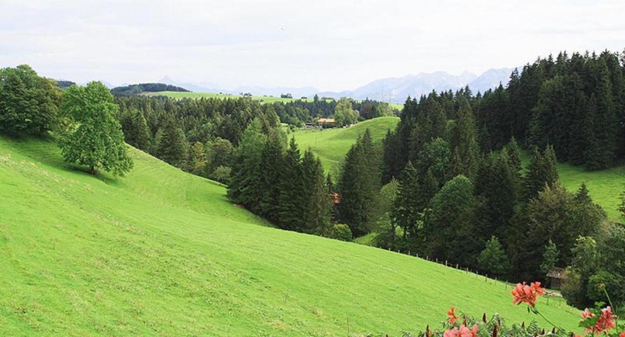 Haus Bergblick Daire Oy-Mittelberg Dış mekan fotoğraf